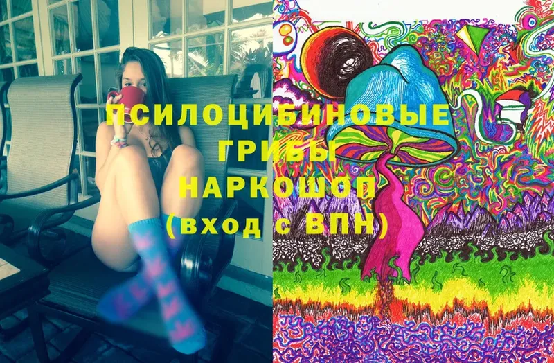 Псилоцибиновые грибы Psilocybe Сортавала